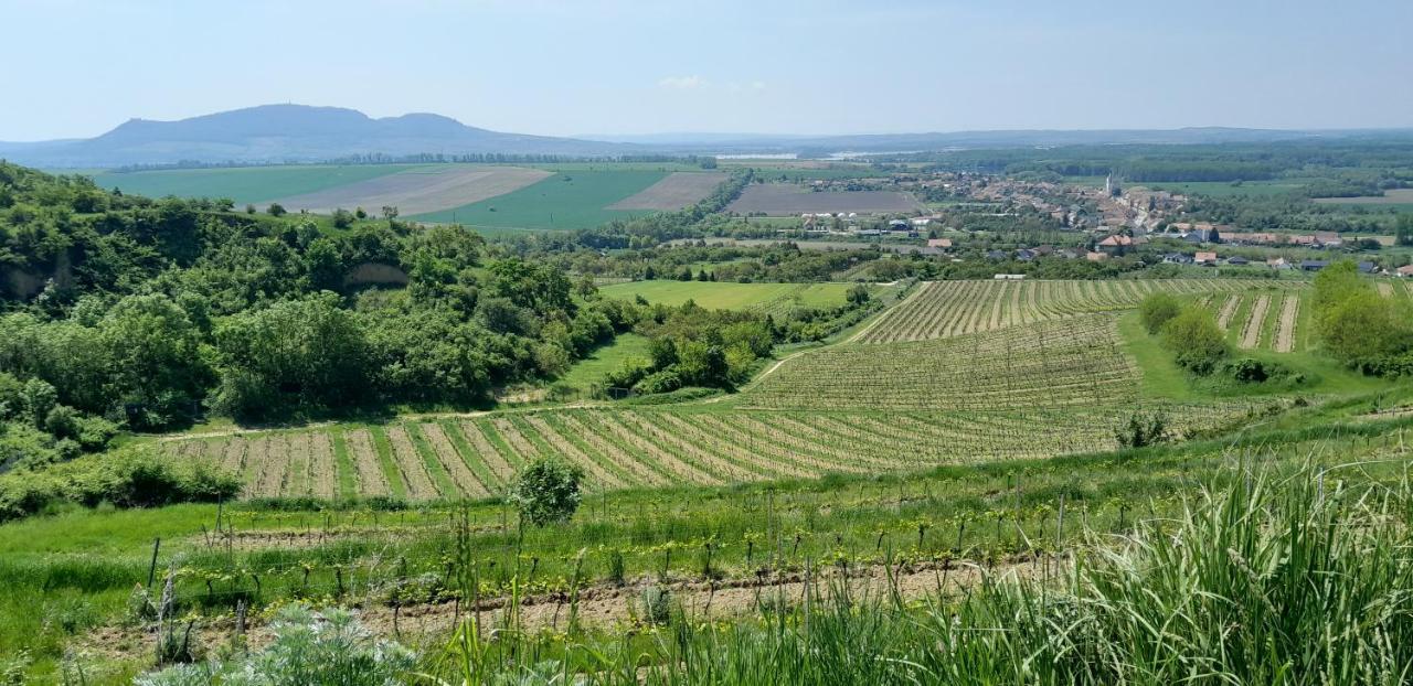 Ubytovani Na Sklepe U Prochazku Pouzdrany Exterior photo
