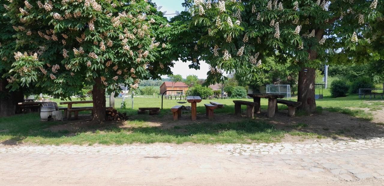 Ubytovani Na Sklepe U Prochazku Pouzdrany Exterior photo